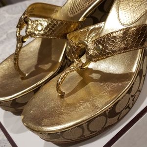 Coach Evita Metallic Platform Sandles
